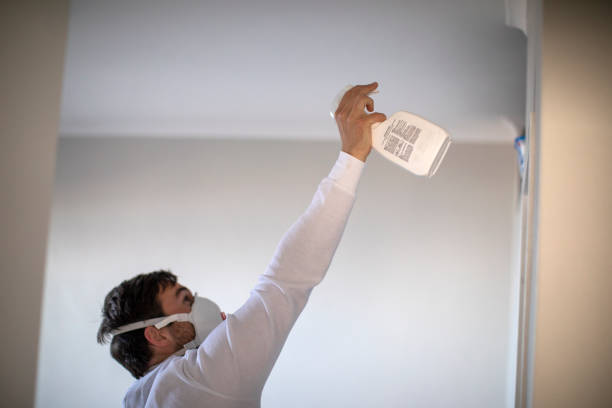 Best Professional Mold Removal  in Forty Fort, PA
