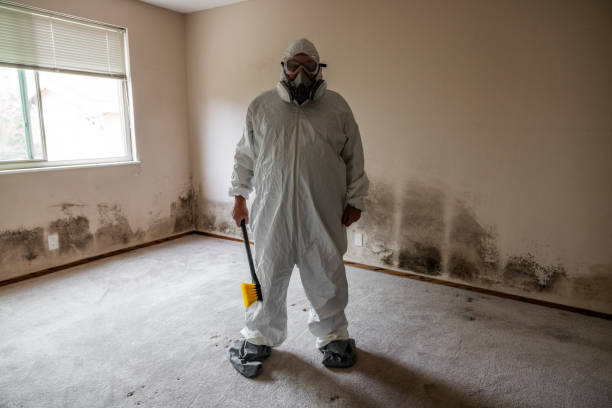 Best Residential Mold Removal  in Forty Fort, PA